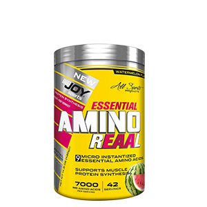 Bigjoy Sports Amino Reaal 420g